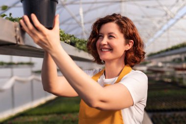 Sarı önlüklü, gülen ve tarlada serada çalışırken saksı bitkisini inceleyen pozitif bir kadın.