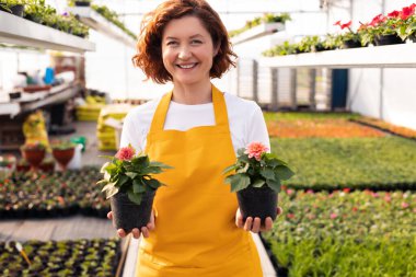 Beyaz tişörtlü ve önlüklü iyimser genç bir kadın kameraya gülümsüyor ve yaz aylarında serada çiçek açan bitkilerle saksılar gösteriyor.