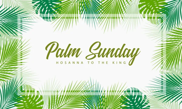 棕榈星期日 软糖到国王的文字在绿色的胶合板叶子和怪兽叶子周围框架矢量设计 — 图库矢量图片