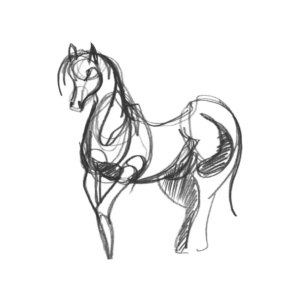 Beyaz Kağıda Yarım Dönüşmüş Bir Atın Hızlı Bir Çizimi Minimalist — Stok Vektör