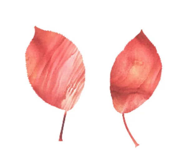 Φύλλα Δέντρου Βαμμένα Κόκκινο Και Ροζ Χρώμα Ακουαρέλα Απομονωμένα Στοιχεία — Φωτογραφία Αρχείου