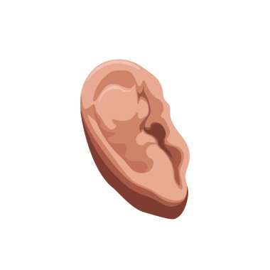 Karnabahar kulak travması gerçekçi vektör çizimi. Güreşçinin kulak hasarı. BJJ, güreş, boğuşma, kavga. MMA.