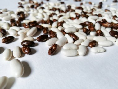 Beyaz arkaplanda iki çeşit fasulye var.