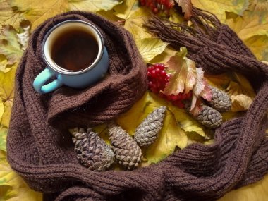 Eşarba sarılı bir fincan sonbahar yapraklarının üzerinde duruyor. Koni ve viburnum yanında.