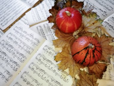 Yapraklarla çevrili iki balkabağı manzarası