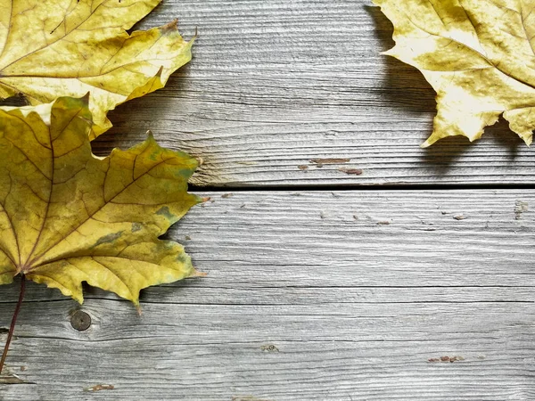 Spadły Liście Drewniane Deski Nadchodzi Jesień — Zdjęcie stockowe