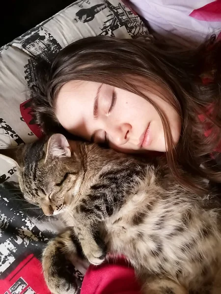 Una Ragazza Bruna Gatto Sono Dolce Sogno — Foto Stock