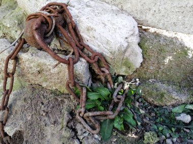 Paslı bir zincir duvardaki bir çiviye bağlıdır. Haklardan mahrum edilme. Zincirli eski duvar. CHAIN üzerinde.