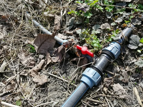 Bahçe hortumuna su sağlamak için girdap. Su kaynağı için musluğu olan eski bahçe hortumu. Hortumdaki su tıkanmış. Su kaynağı yok. Eski valf.