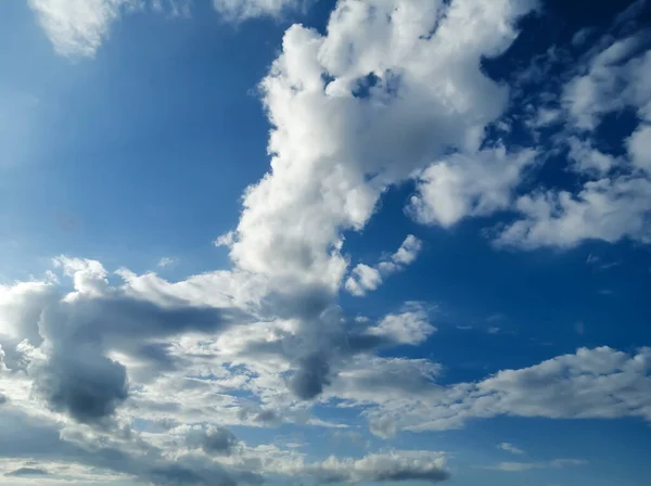 曇った空 青空に雲 空の美しい雲と鳥 鳥は空に向かって飛ぶ 雲の中の鳥 — ストック写真