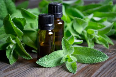 Ahşap masada bir sürü nane ve iki şişe aromatik yağ var. Masadaki nane yağı yeşil yaprakların arasındaydı. Masada bir sürü nane ve iki şişe gerekli yağ var..