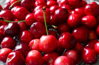 Kirazlı yakın plan. Bir yerde bir sürü kiraz var. Kiraz hasadı. Böğürtlen hasadı. Kırmızı kirazlar bir kaydırağın üzerinde yatıyor.