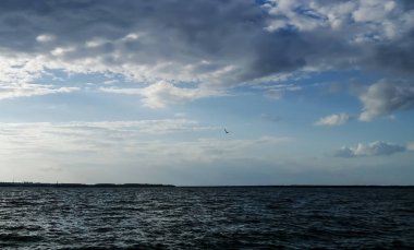Büyük nehir. Nehir manzarası. Nehir ve gökyüzü arasındaki güzel ufuk. Nehrin üstünde gökyüzünde bir kuş. Bir martı balık yakalar..