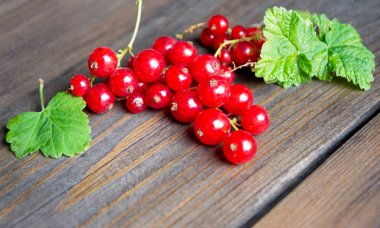 Ahşap bir masada kırmızı frenk üzümü. Frenk üzümü. Ahşap arka plan ve kırmızı böğürtlen. Faydalı kırmızı renkli meyveler.