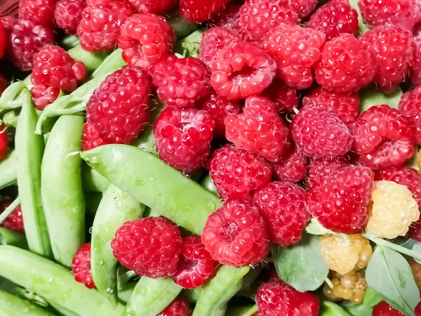 Lots of bright berries and green peas. Raspberries, green peas in pods. Summer berries together.