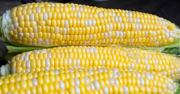 Sweet corn on the table. Corn with white-yellow grains.