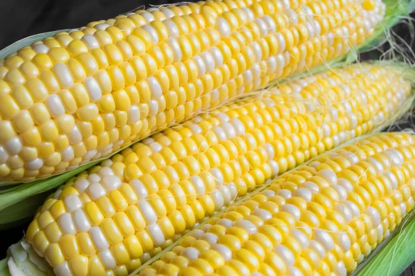 Lots Two Tone Corn Harvest Corn Raquel Variety Imagem De Stock