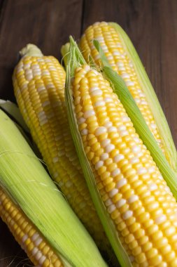 corn on a wooden table. Cobs with white and yellow grains, Raquel variety. Corn is sweet close-up.