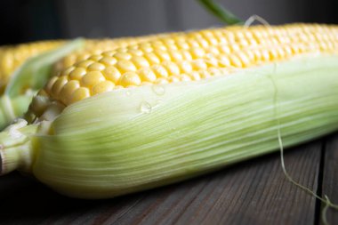Young sweet corn on a wooden table. A head of corn with yellow grains. A few cobs of corn on a wooden background.