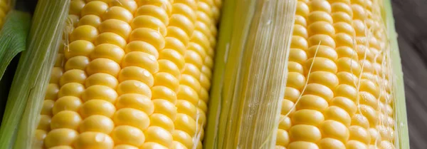 Corn Grains Cob Close Head Corn Close Wooden Table Corn — Stock Fotó
