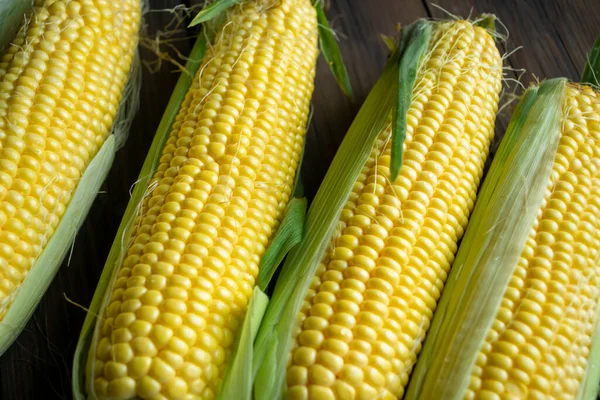 Four heads of corn on a wooden table. Against the background of the tree lies summer corn, sweet. Heads of corn lie in a row.