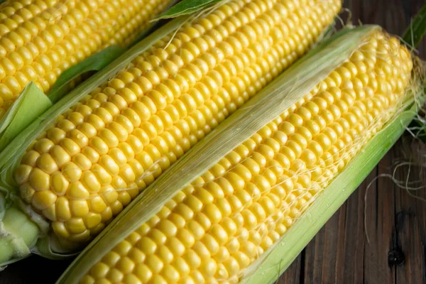Young sweet corn on a wooden table. A head of corn with yellow grains. A few cobs of corn on a wooden background.