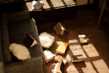 Bebeğin evi dağınık kitaplarla dolu. Oda kutusu dağınık kitapların ve sızlanmaların iç görünüşü. Minyatür bir evin içi..