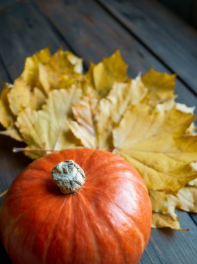 Hokkaido portakal kabağı, yaprakların arasında, ahşap bir masanın üzerinde. Sonbahar yapraklarının yanında küçük, turuncu bir balkabağı yatıyor. Ev için sonbahar süslemeleri.