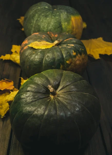 Três Abóboras Estão Sucessivamente Folhas Outono Abóboras Redondas Uma Mesa — Fotografia de Stock