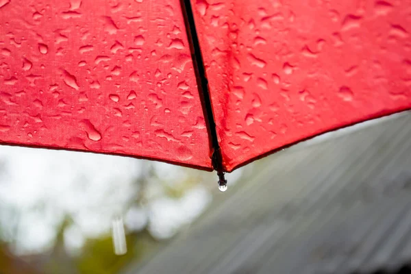 Regentropfen Auf Einem Regenschirm Bottom Sicht Ein Tropfen Hängt Regenschirm — Stockfoto