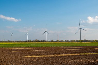 Arkasında beş rüzgar türbini olan bir tarlanın manzarası.