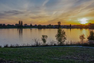 Hamburg 'daki nehir manzarası Elbe' de kurumuş sazlıklarla