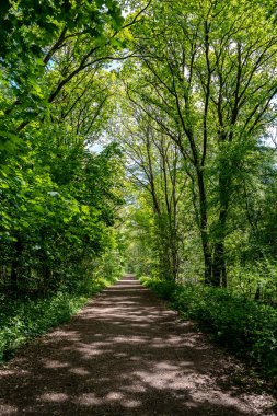landscape shot with a path and lawn and trees in the background and a blue sky with a few clouds