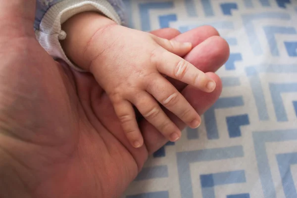 Yeni doğmuş bir bebeğin küçük eli bir yetişkinin avucunda