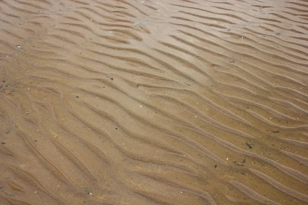 Kuzey kıyılarında dalgalı kum yüzeyi alçak gelgitte