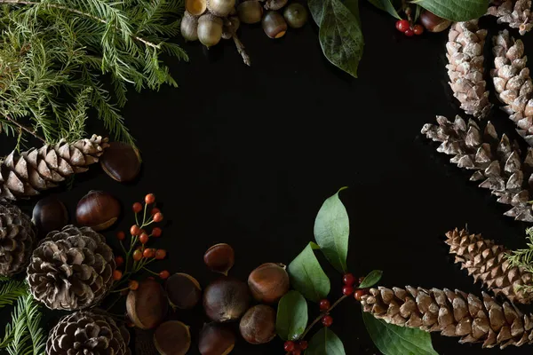 Top View Natural Christmas Plants Frame Dark Background Copy Space — Stock Photo, Image