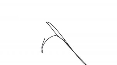 Beyaz ekranda tek çizgi maytaplı neşeli animasyon. Noel havai fişeklerinin kendi kendine çizimi. Alfa kanalı ile 4k video.