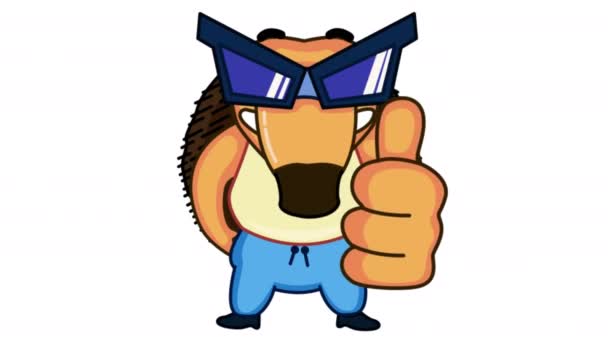 Cool Orange Hedgehog Glasses Thumb Animation Cartoon Animal Approving Sign — Stock Video