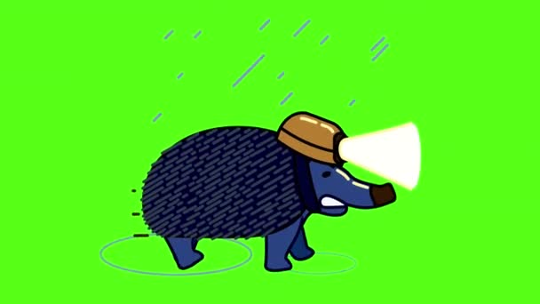 Ouriço dos desenhos animados em um capacete andando na chuva. — Vídeo de Stock
