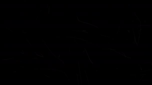 Анимация Маленьких Белых Царапин Черном Фоне Склад Текстура Пленки Альфа — стоковое видео