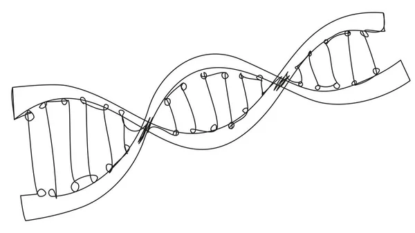 Beyaz arka planda izole edilmiş DNA sarmalı. Deoksiribonükleik asit ana hatları. Vektör illüstrasyonu