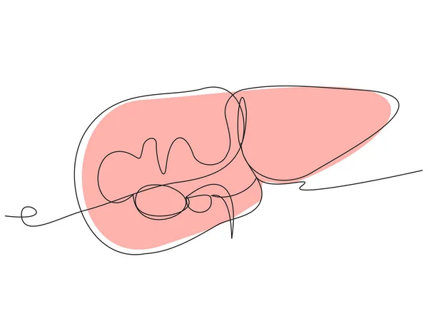 Одна Лінія Ілюстрація Печінки Білому Тлі Людський Орган Бежевим Силуетом — стоковий вектор