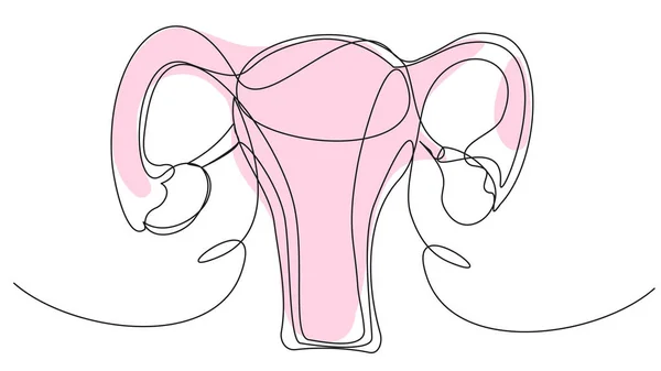 Beyaz arka planda pembe noktalı bir kadının rahmi. Bir kadının üreme organlarının basit bir çizimi. Sağlık, doğum, adet, seks hayatı, tedavi kavramı.