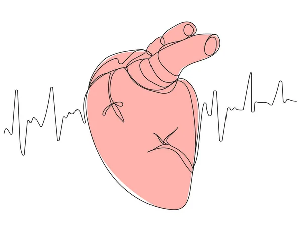 Coração Humano Uma Linha Com Uma Silhueta Bege Fundo Branco — Vetor de Stock
