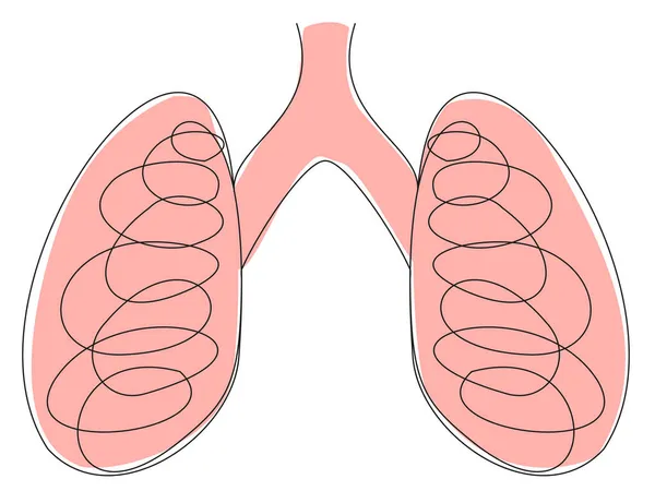 Poumons Humains Une Ligne Sur Fond Blanc Organe Respiratoire Stylisé — Image vectorielle