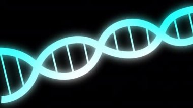 Siyah ekranda dönen neon DNA sarmalı ile animasyon. İnsan mavisi genom sembolü. Parlayan Deoksiribonükleik asitli 4k döngü videosu. Alfa kanallı 4k bilimsel video.