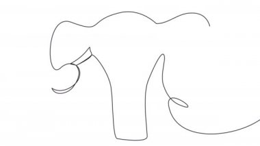 Bir satırda 4k kadın rahim.