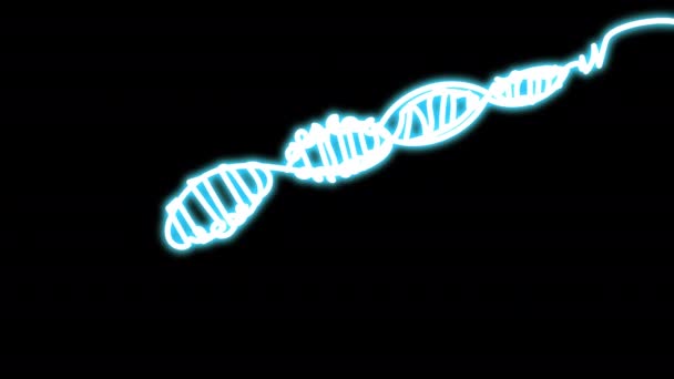 DNA-neonlinjaa mustalla ruudulla. Ihmisen geenin hohtavan merkin symboli. 4k alfa-kanavalla. — kuvapankkivideo