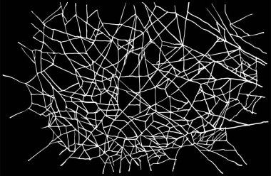 Siyah arka planda beyaz örümcek ağı. Böcek yakalamak için örümcek ağının doğrusal dokusu. Ayrıntılı web çizim tarzında stok vektör illüstrasyonu.