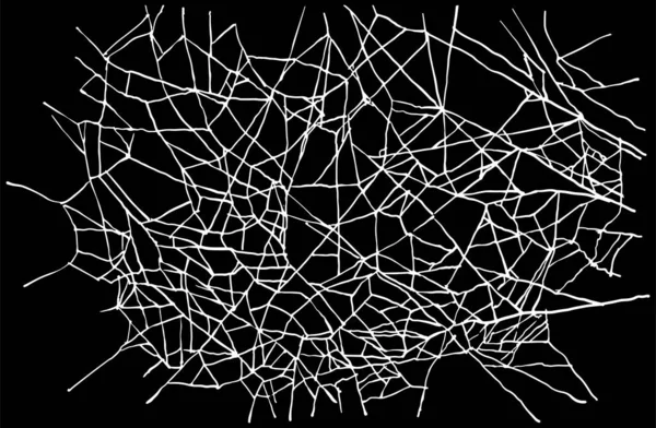 White Spider Web Black Background Linear Texture Spider Web Catching —  Vetores de Stock